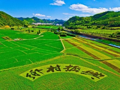 村落振兴工作动态 （第145期）