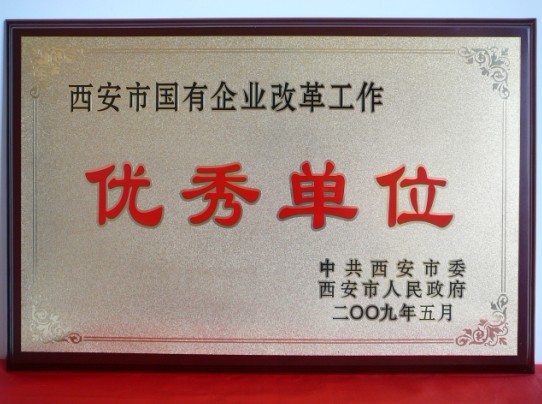 2009年5月，被西安市委、市当驹炖为西安市国企业鼎新工作优良单元