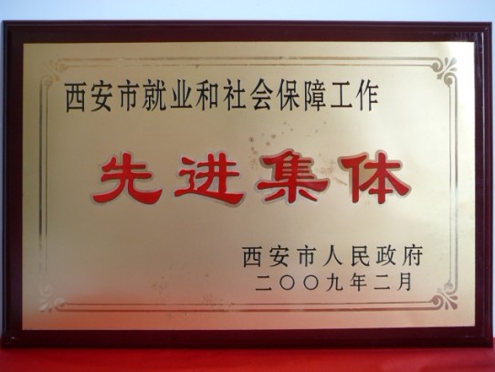 2009年2月，被西安市当驹炖为西安市就业和社会保险工作先进集体