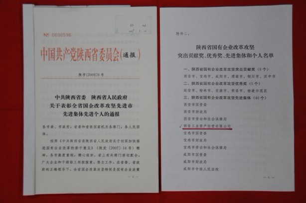 2009年2月，被陕西省委、省敌灾授予陕西省国有企业鼎新攻坚先进集体